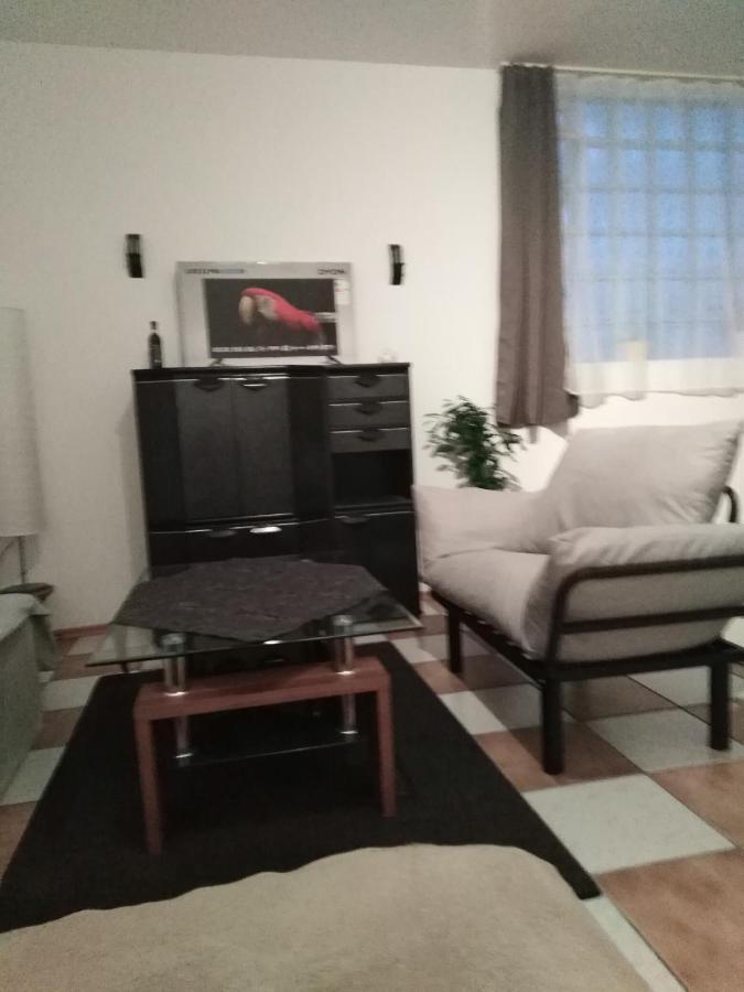 Studiowohnung, Neu Renoviert, Zentrale Lage Saarlouis Εξωτερικό φωτογραφία