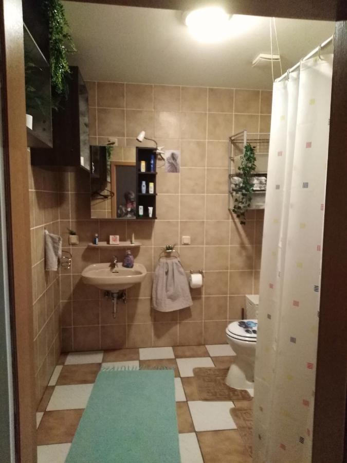 Studiowohnung, Neu Renoviert, Zentrale Lage Saarlouis Εξωτερικό φωτογραφία